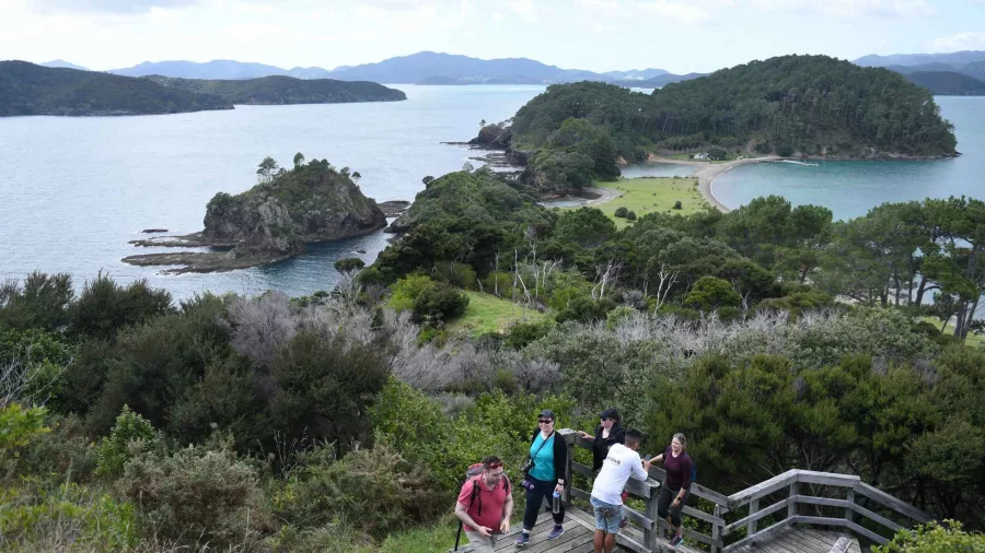 Group of people walking up a staircase on Urupukapuka Island with lush greenery and scenic coastal views in the Bay of Islands