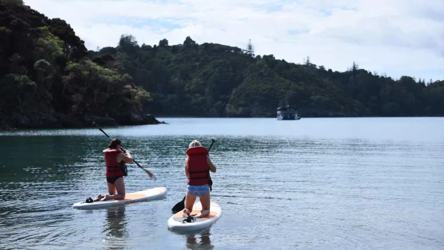 Two people paddleboarding in calm waters near forested islands during The Rock Adventure Cruise in the Bay of Islands