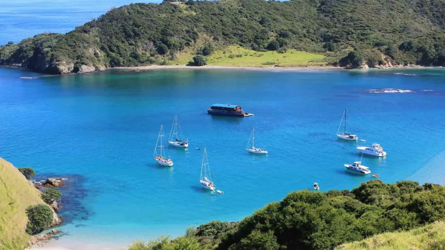 The Rock Adventure Cruise houseboat anchored in a scenic bay surrounded by sailboats in the Bay of Islands