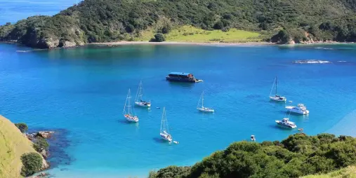 The Rock Adventure Cruise houseboat anchored in a scenic bay surrounded by sailboats in the Bay of Islands
