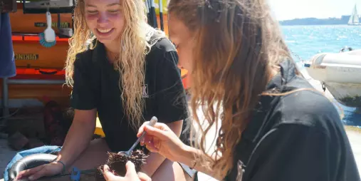 Guests opening fresh kina on The Rock Adventure Cruise in the Bay of Islands