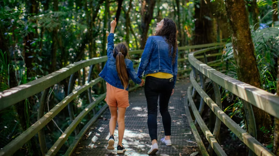 Mother and daughter walking hand in hand through lush native bush in Puketi Forest, Northland, New Zealand