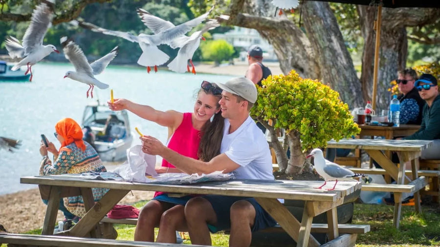 Couple enjoying fish and chips by the waterfront at Kororāreka Bay in Russell, Northland, with seagulls flying overhead