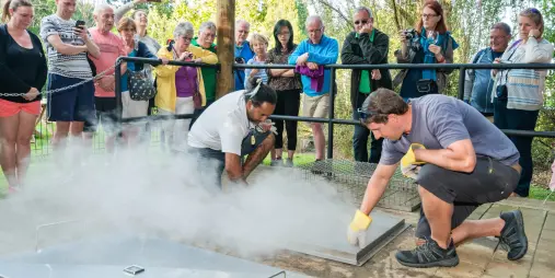 Demonstration of hāngi preparation at Waitangi Treaty Grounds, Northland, New Zealand