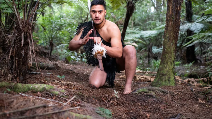 Māori warrior in traditional attire kneeling in native forest during a cultural challenge at Waitangi Treaty Grounds, Northland, New Zealand