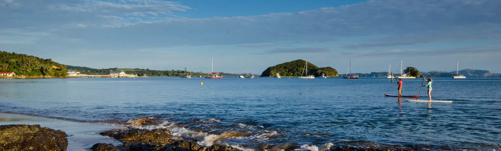 Two people paddleboarding on calm waters near Paihia in the Bay of Islands