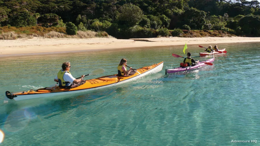 Group kayaking along a calm bay in the Bay of Islands, Northland