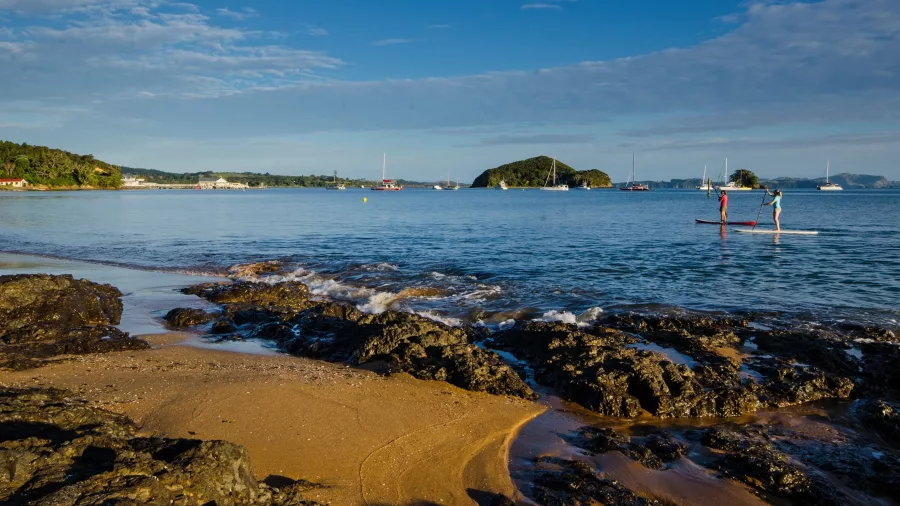 Two people paddleboarding on calm waters near Paihia in the Bay of Islands