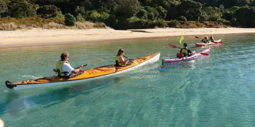 Group kayaking along a calm bay in the Bay of Islands, Northland