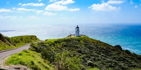 Winding pathway leading to Cape Reinga Lighthouse on a sunny day in Northland, New Zealand