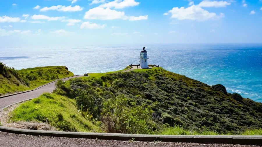 Winding pathway leading to Cape Reinga Lighthouse on a sunny day in Northland, New Zealand