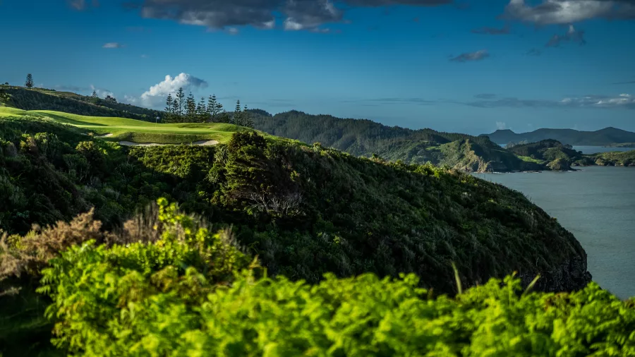 Golf green perched on a cliffside at Kauri Cliffs Golf Course, framed by lush greenery in the Bay of Islands, New Zealand