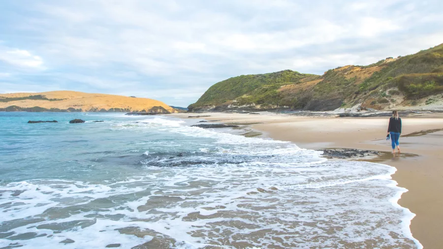 Person walking along a quiet beach near Hokianga Harbour
