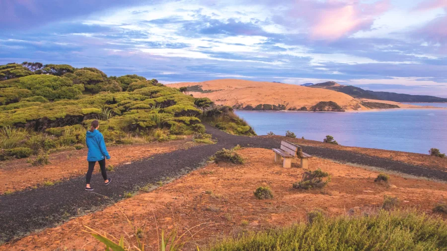 Girl walking a coastal trail at sunset overlooking Hokianga Harbour and sand dunes