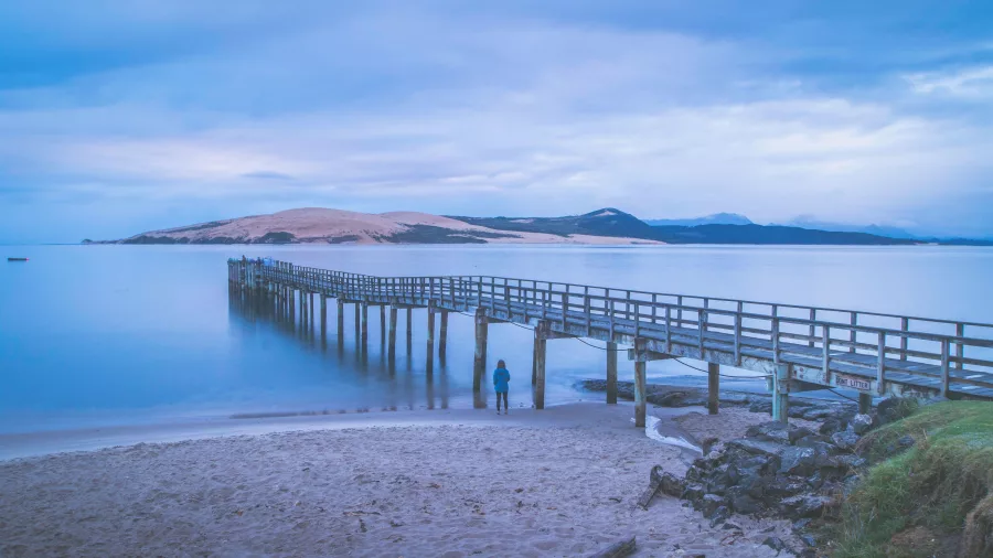 Person standing beside Ōmāpere Wharf at blue hour, with Hokianga sand dunes in the distance