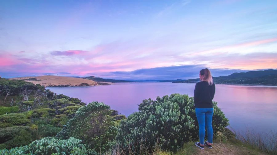 Woman standing at a viewpoint over Hokianga Harbour during a pastel sunset