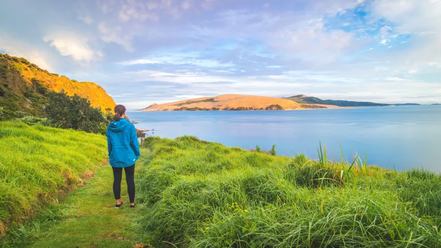 Person walking along a lush green trail overlooking Hokianga Harbour and sand dunes