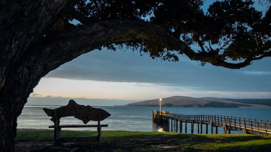 Ōmāpere Wharf illuminated at night, viewed from under a pōhutukawa tree