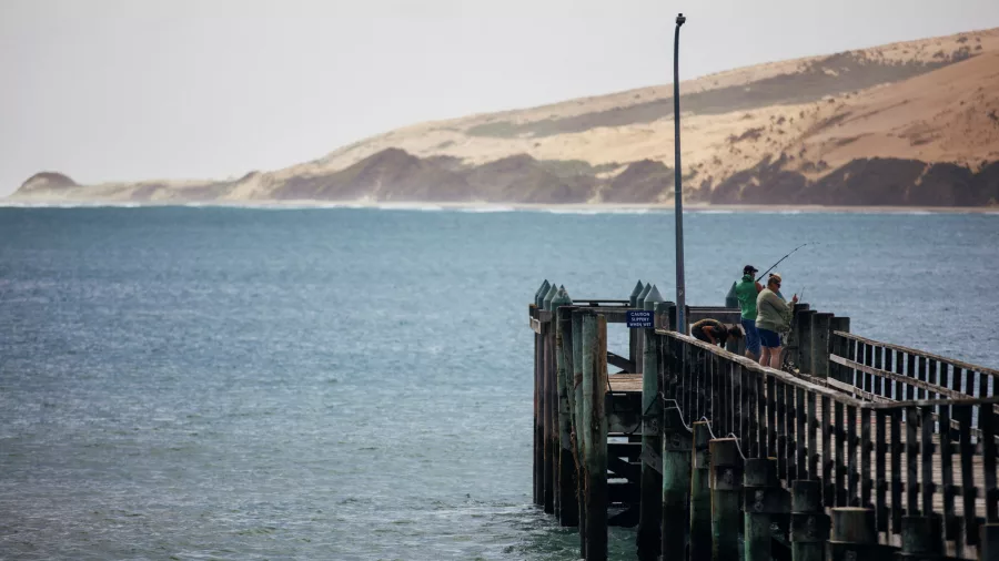 People fishing from a timber jetty in the Hokianga Harbour with views of golden sand dunes across the water