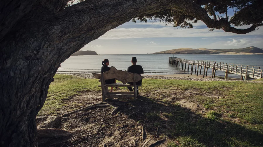 Couple sitting on a bench under a tree by Ōmāpere Wharf in Hokianga