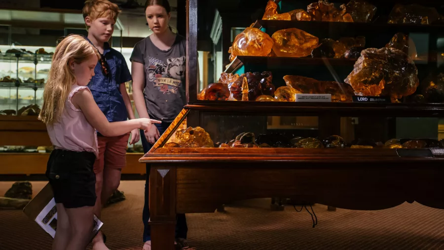 Children viewing kauri gum displays inside The Kauri Museum