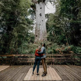 Couple standing on a wooden viewing platform looking up at Tāne Mahuta, the largest living kauri tree in Waipoua Forest