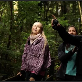 Small group on a guided tour in Waipoua Forest looking up at the native canopy in Northland