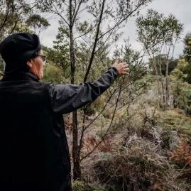Māori guide gesturing toward native plants in Waipoua Forest during a nature walk in Northland