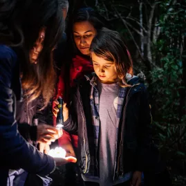 Family experiencing twilight forest tour at Waipoua with torchlight