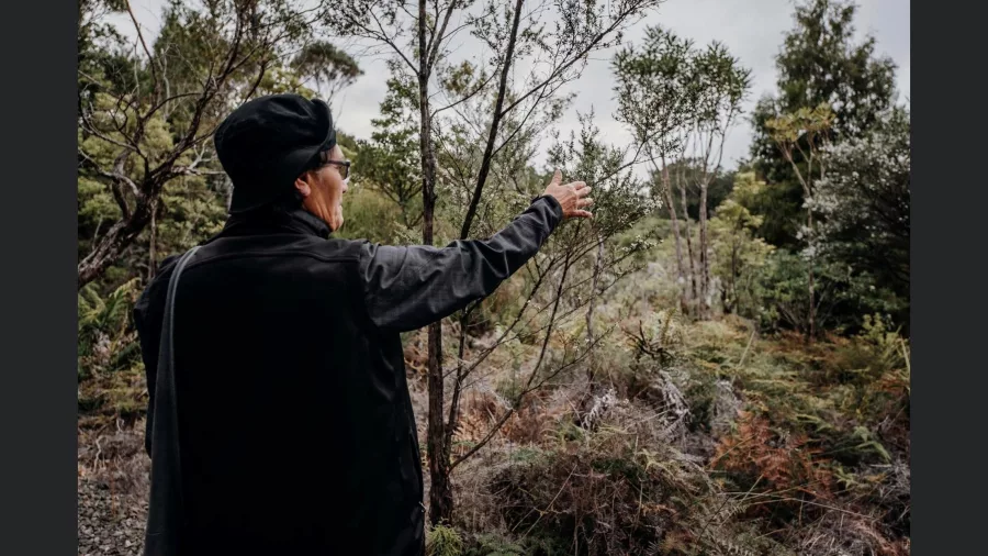 Māori guide gesturing toward native plants in Waipoua Forest during a nature walk in Northland