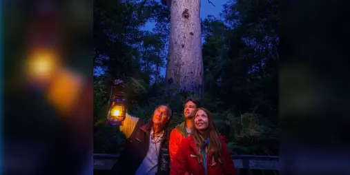 Guests and guide holding a lantern during a night tour in front of Tāne Mahuta in Waipoua Forest