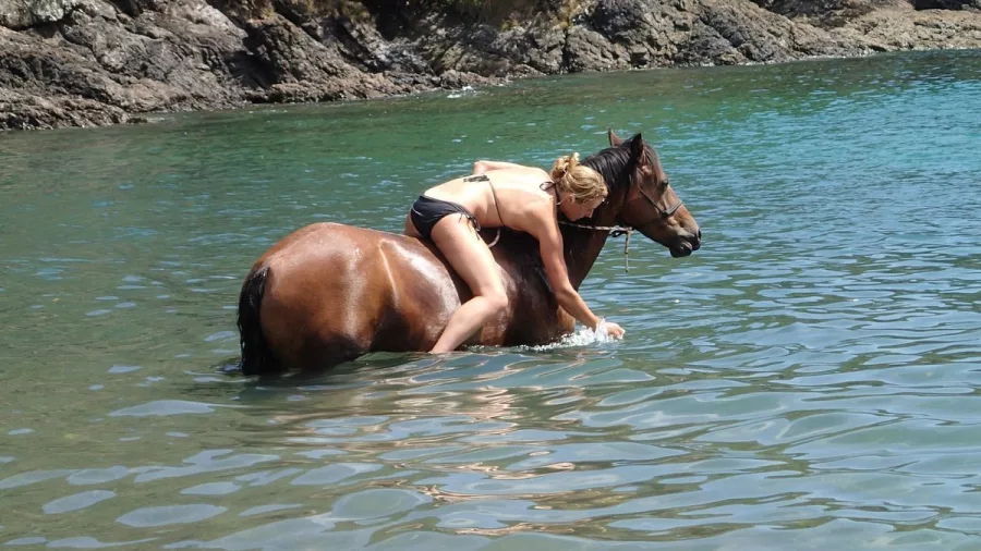 Woman hugging her horse while swimming in a calm cove in Matapōuri