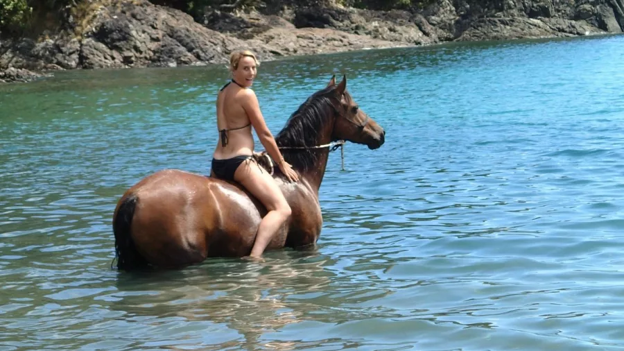Rider guiding a horse through clear waters in Matapōuri during a beach swim