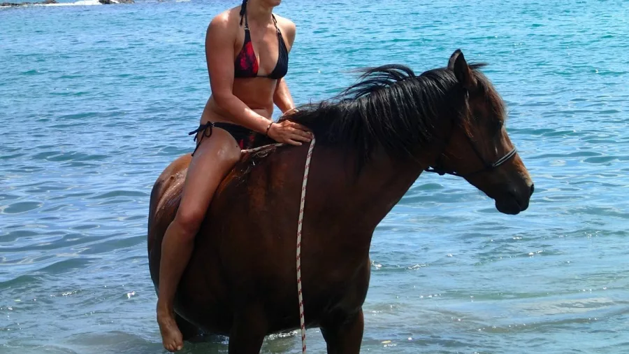 Woman riding a brown horse bareback in clear ocean waters at Matapōuri
