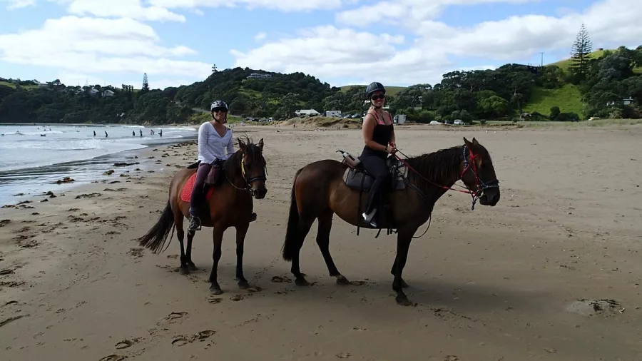 Two riders on horses along the beach