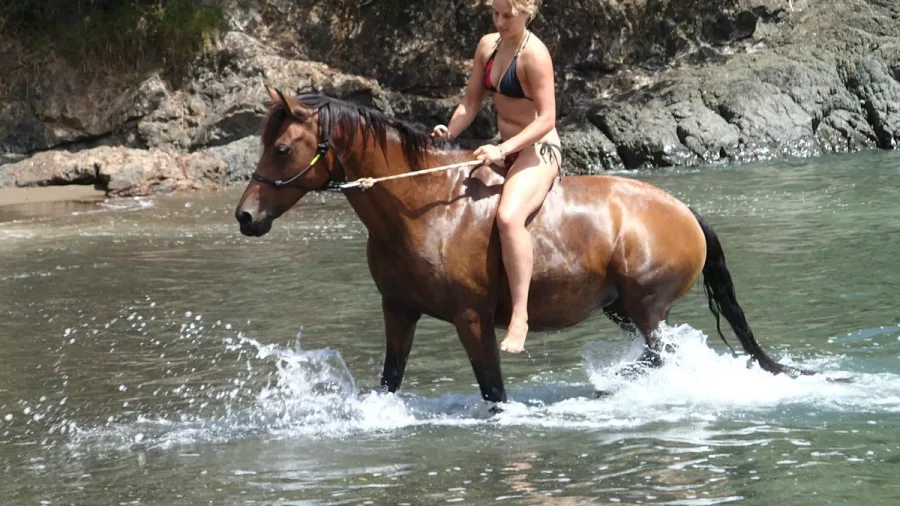 Woman riding horse bareback in shallow coastal water