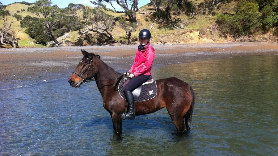 Horse and rider standing in shallow water near the shore in Matapōuri