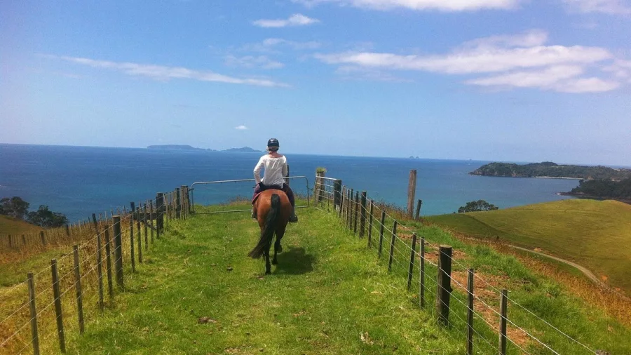 Horseback rider approaching a coastal lookout