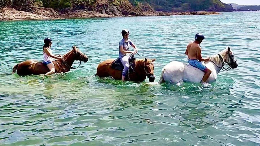 Group riding horses through clear coastal waters