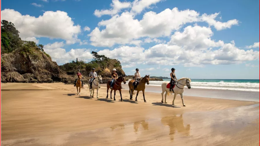 Group of riders on horseback along a golden beach