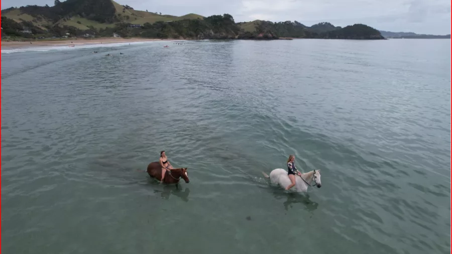 Two riders swimming horses in the open waters of Matapōuri Bay with green hills in the background