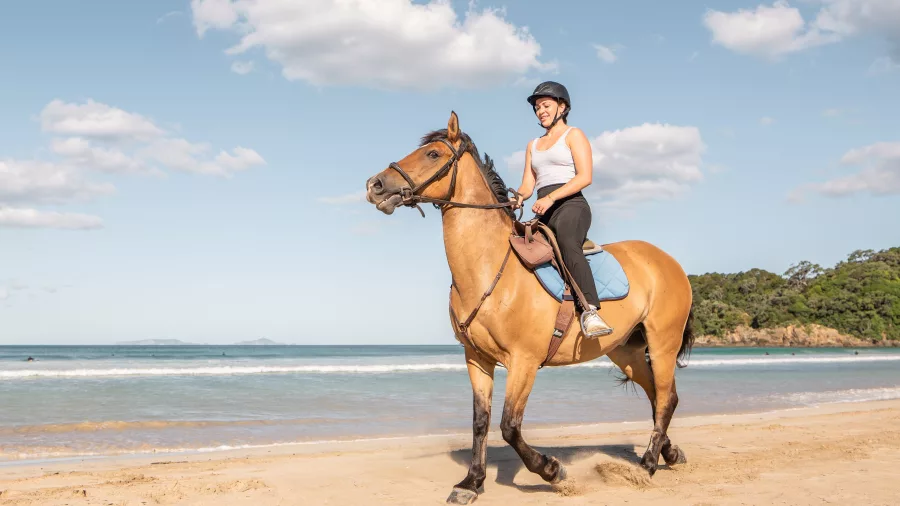 Woman horse riding along Sandy Bay beach on the Tutukākā Coast