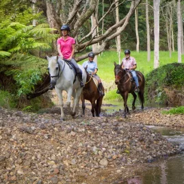 Three horse riders navigating a rocky stream trail through forest and open pasture in Northland