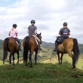 Three horse riders on a grassy hilltop overlooking rolling green hills in Northland