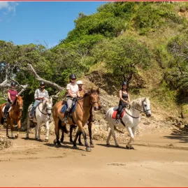 Group of riders on horseback walking along a sandy beach trail beneath coastal greenery in Northland