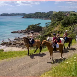 Group of horse riders on a coastal cliffside trail overlooking turquoise water along the Tuna Trail in Northland
