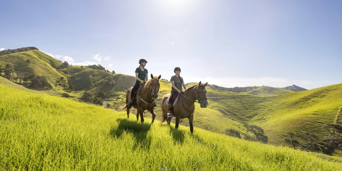 Two people horseback riding through sunlit green hills near Matapouri on the Tutukaka Coast, Northland