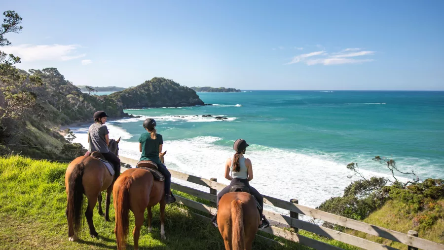 Three horse riders stopped at a lookout point with views of the beach and coastline in Matapouri, Northland