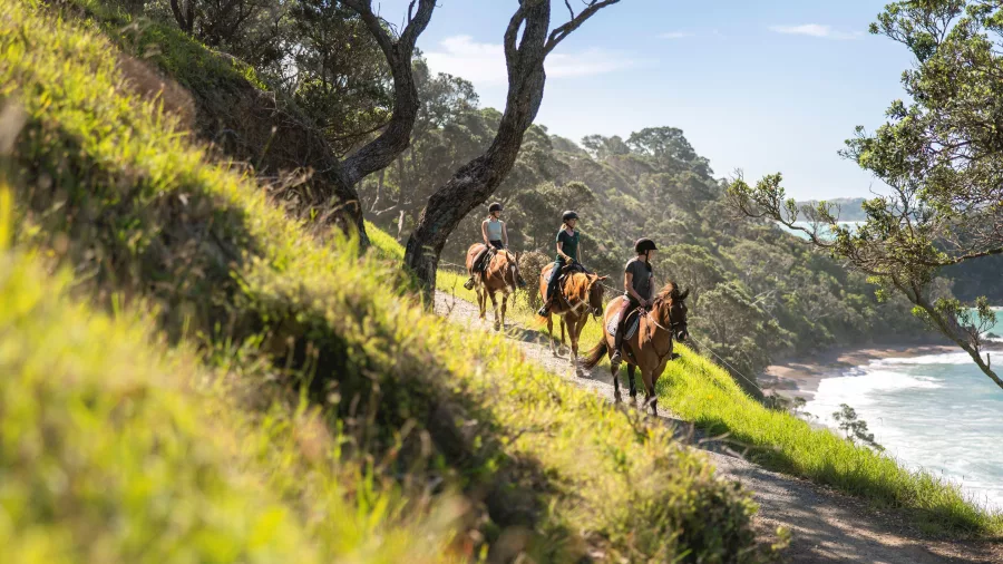 Three riders on a forested coastal trail above the beach in Matapouri on the Tutukaka Coast, Northland