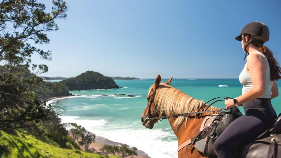 Horse trekking along the coast in Matapouri with scenic views of the Tutukaka coastline in Northland